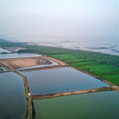 萵口有哪些旅遊島，並探討其生態與歷史價值